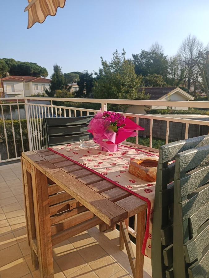 Le Palme 98 "Casa Vacanze" Lido di Camaiore Kültér fotó